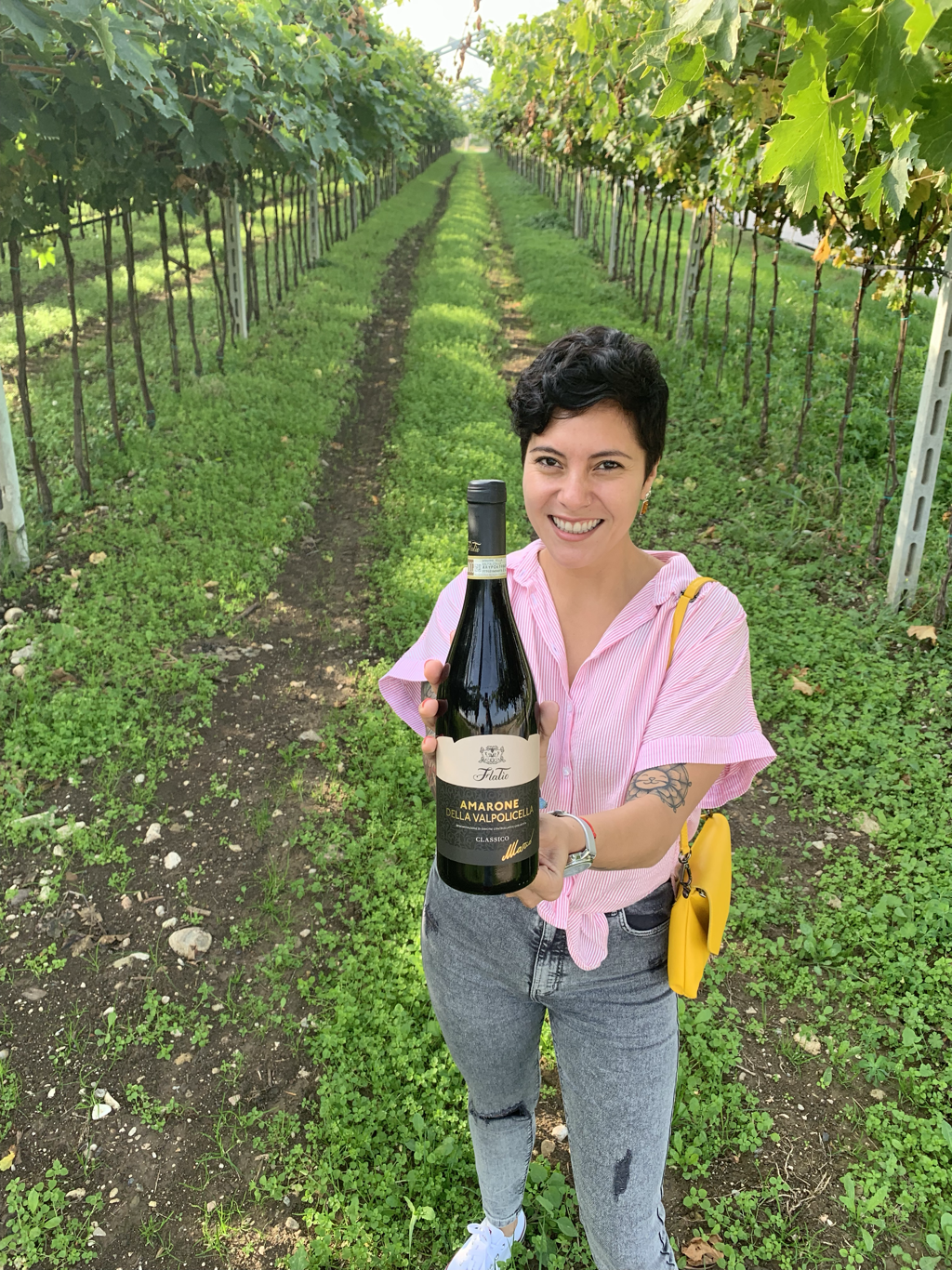 Imagem de capa: Amarone, o néctar de Valpolicella, a pérola de Verona.