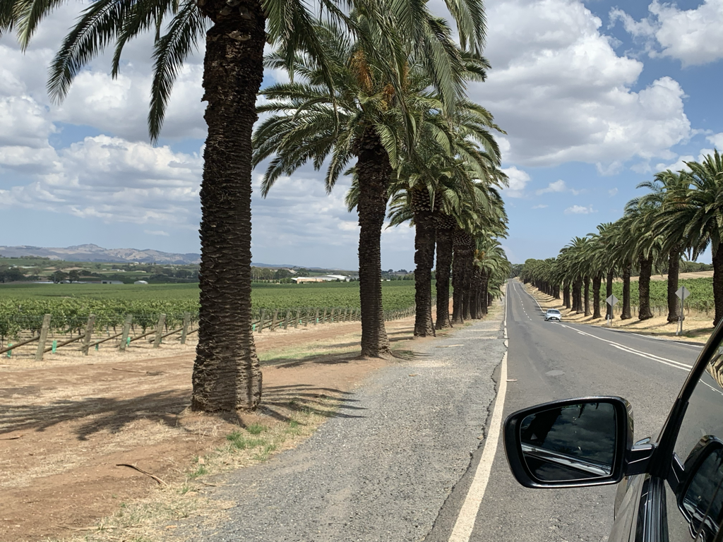 Imagem de capa: Barossa Valley, uma região da linda Austrália, que produz um dos Shiraz mais respeitados do mundo.