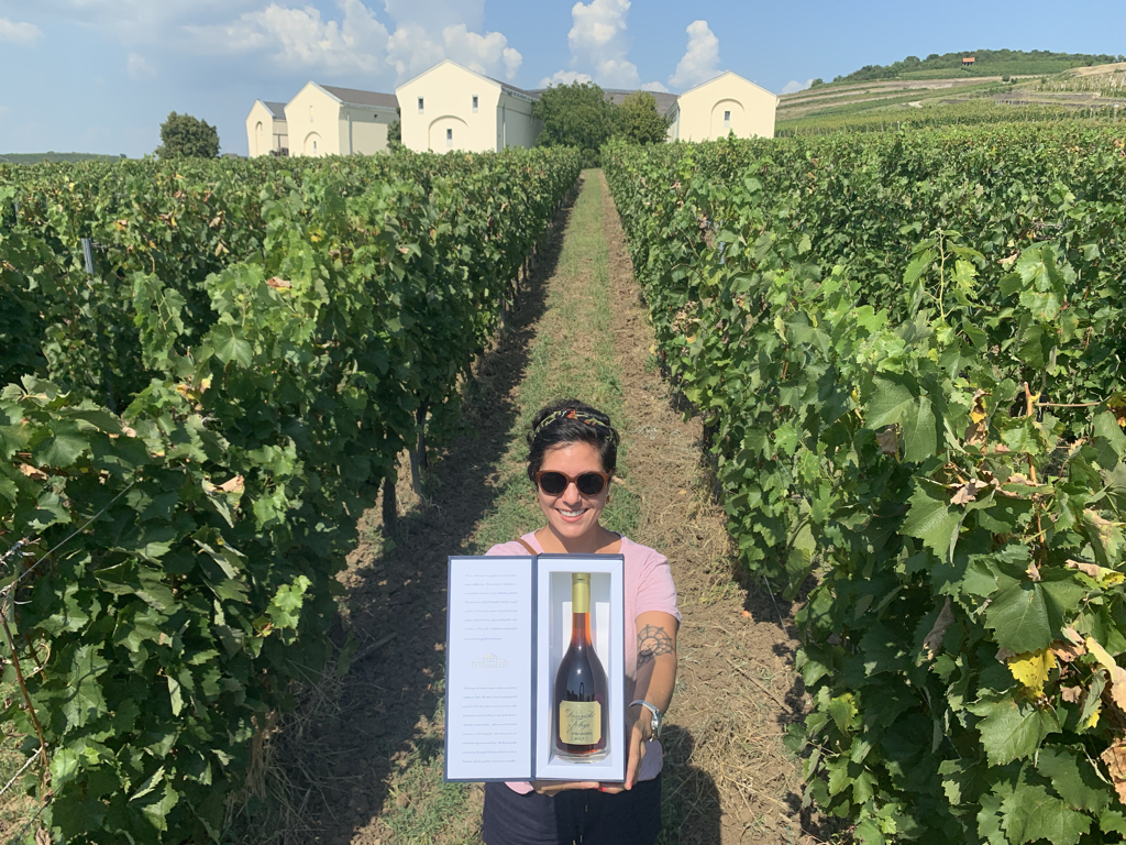 Imagem de capa: Visitamos a Hungria e provamos o vinho mais caro do mundo, Tokaji.