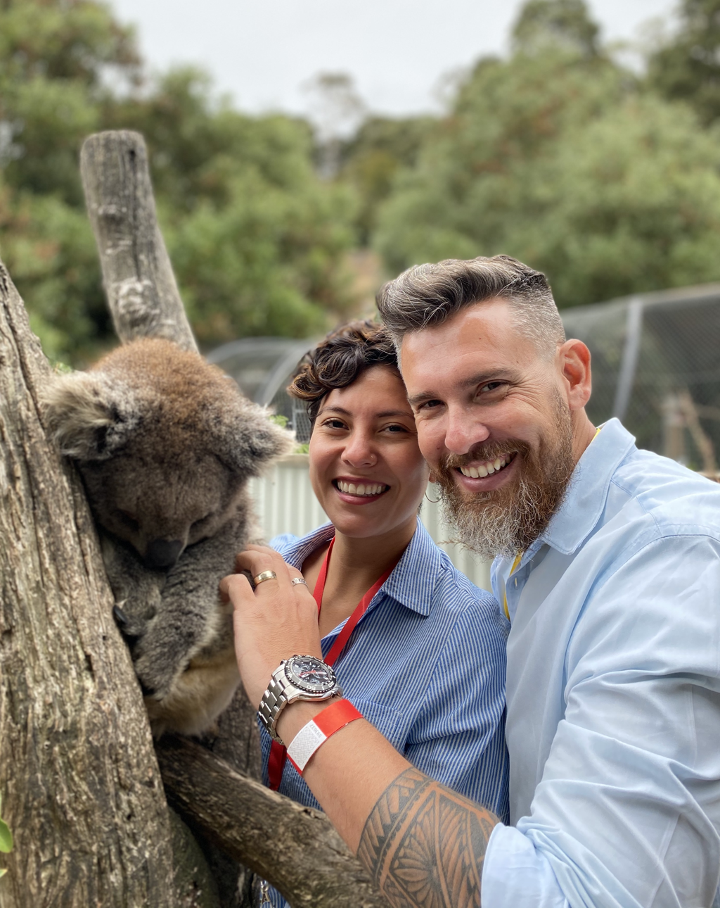 Imagem de capa: Famosos Shiraz, Cangurus e Koalas em uma trip à Australia.