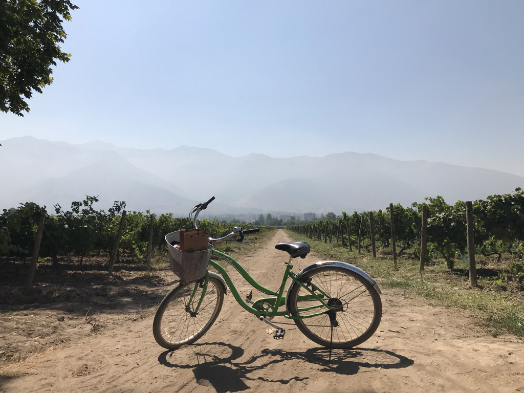 Imagem de capa: Santiago! Uma visita a famosa Concha Y Toro, dicas de restaurantes, tours gratuitos, melhores vinhos, passeio de bicicleta por vinhedos aos pés dos Andes e muito mais.