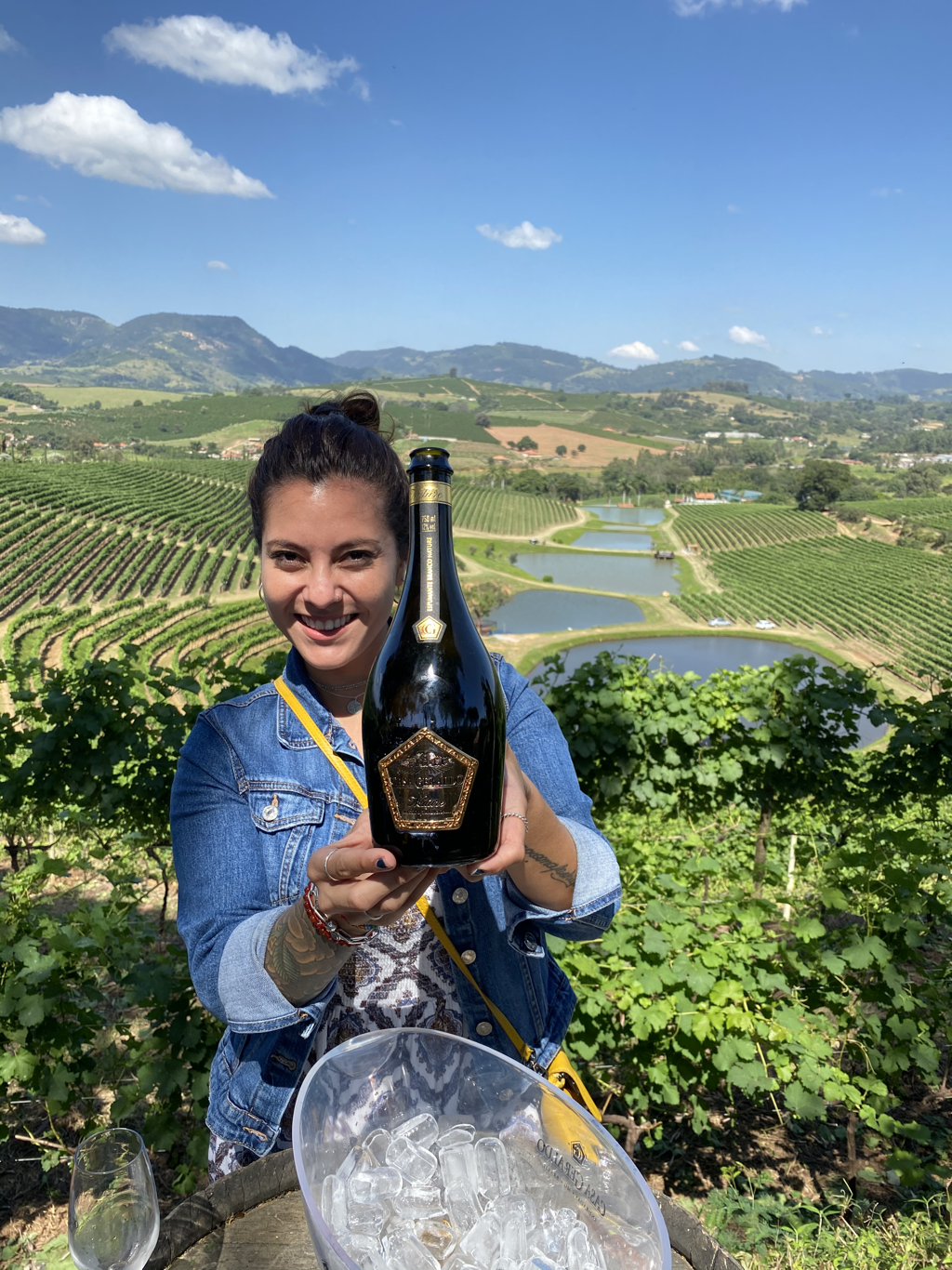 Imagem de capa: Você já ouviu falar sobre os vinhos brasileiros de inverno?