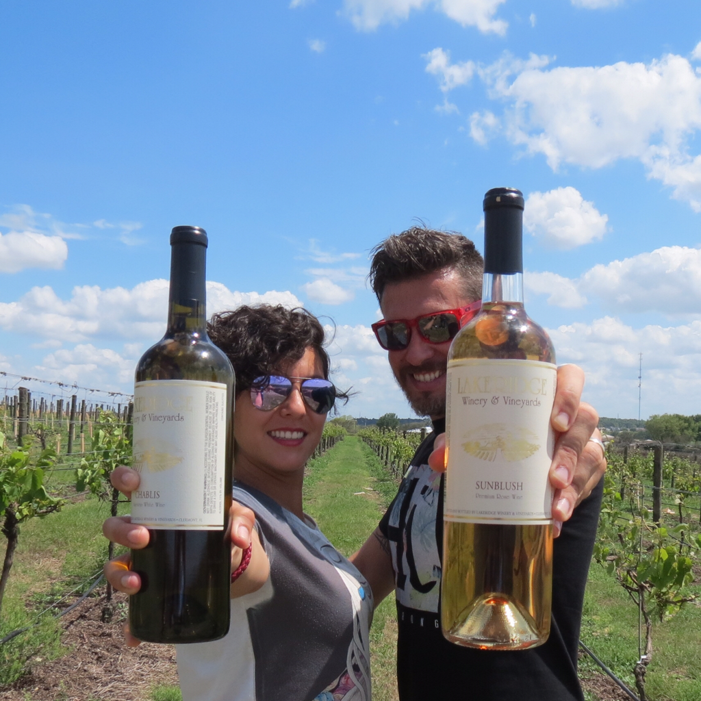 Imagem de capa: Vinhos na Florida???