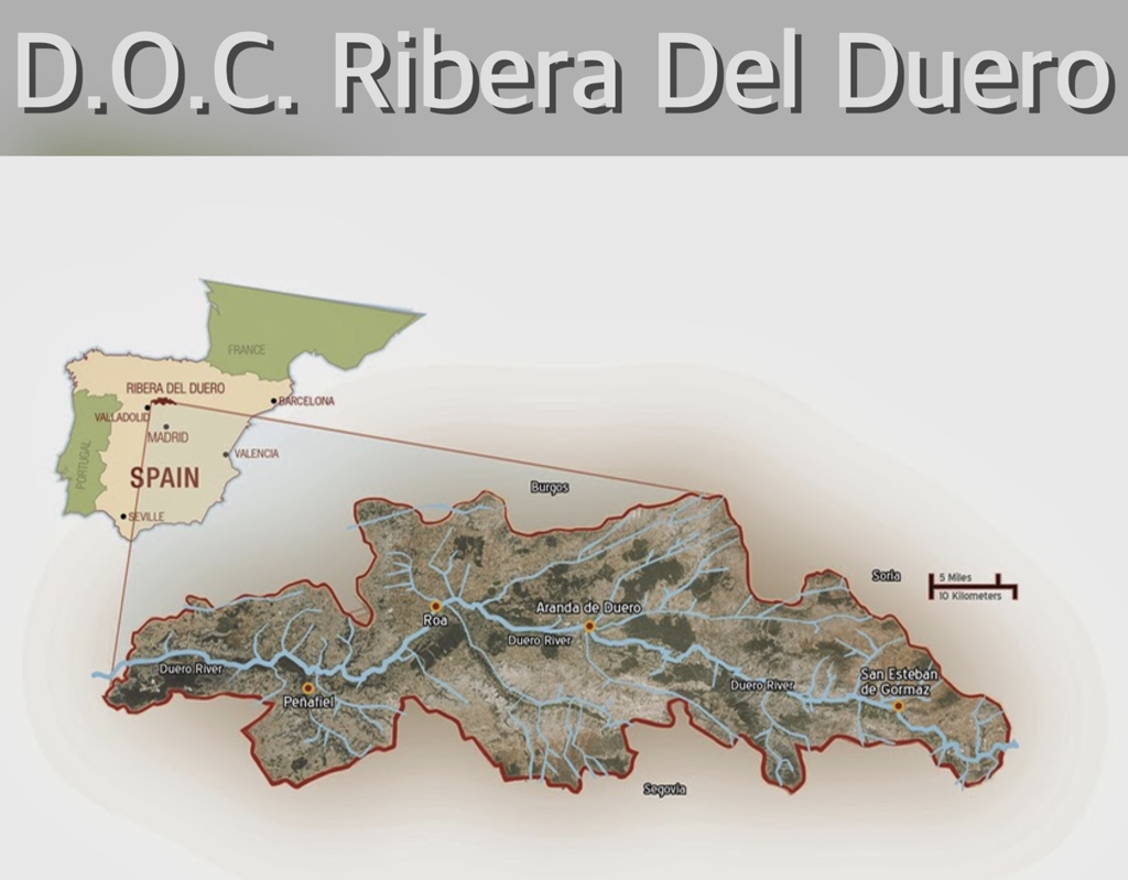 Imagem de capa: Vamos a Rioja! Mas, primeiro passamos por Ribera Del Duero. Conhece?